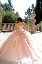 Load image into Gallery viewer, Elegant Quince Dress with Removable Halter
