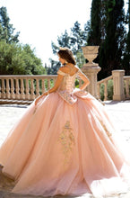 Load image into Gallery viewer, Elegant Quince Dress with Removable Halter
