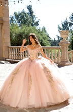 Load image into Gallery viewer, Elegant Quince Dress with Removable Halter

